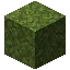 Moss Block