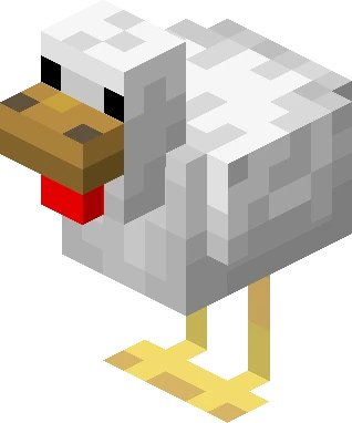 Chicken Chicken