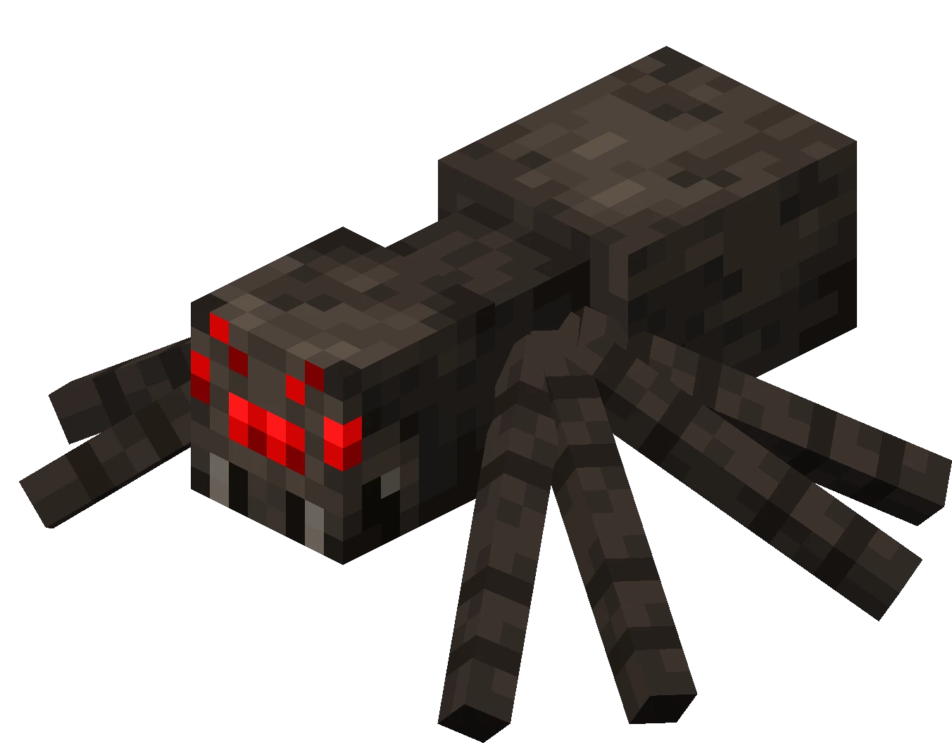 Spider Spider
